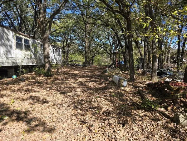 a view of a yard with plants and trees