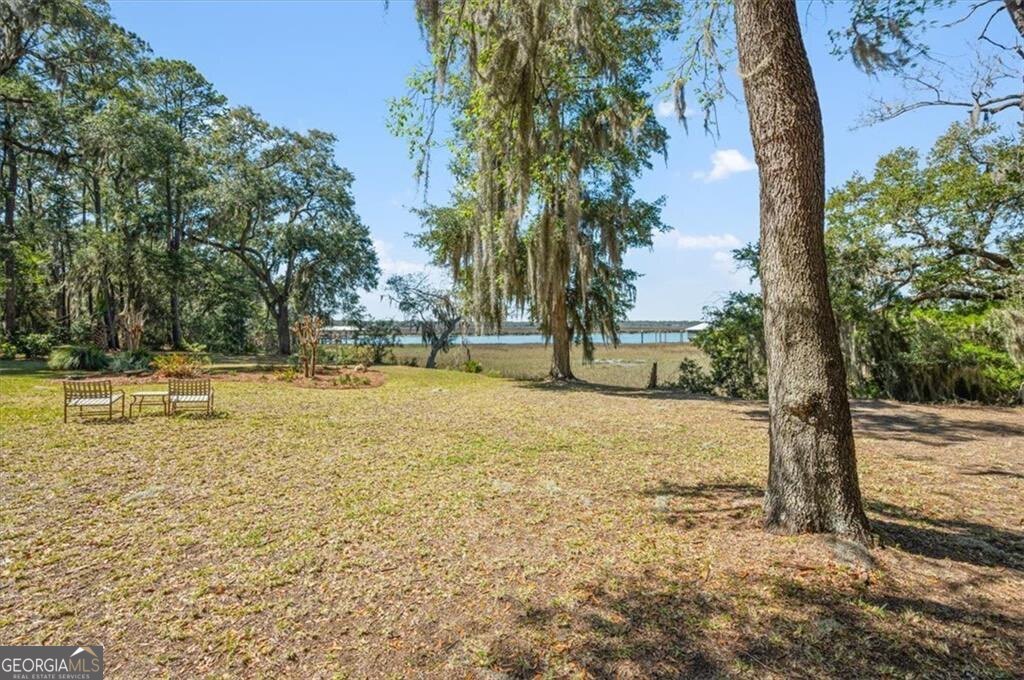 1045 River Club Road Northeast Townsend, GA 31331 - Photo 53 of 85 a view of a yard with trees