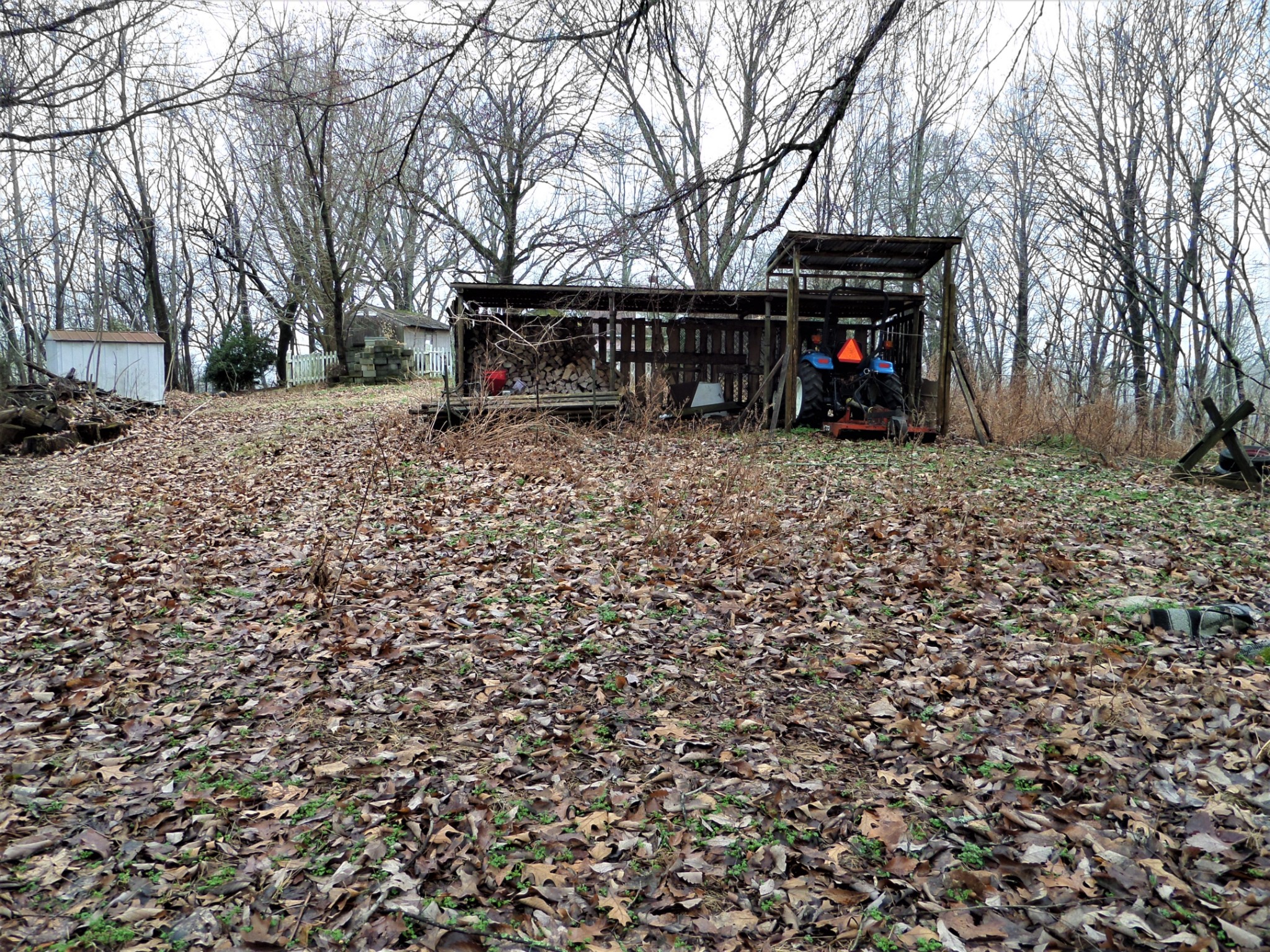 1400 Pisgah Ridge Road Pulaski, TN 38478 - Photo 18 of 23 a view of a park that has a tree on it