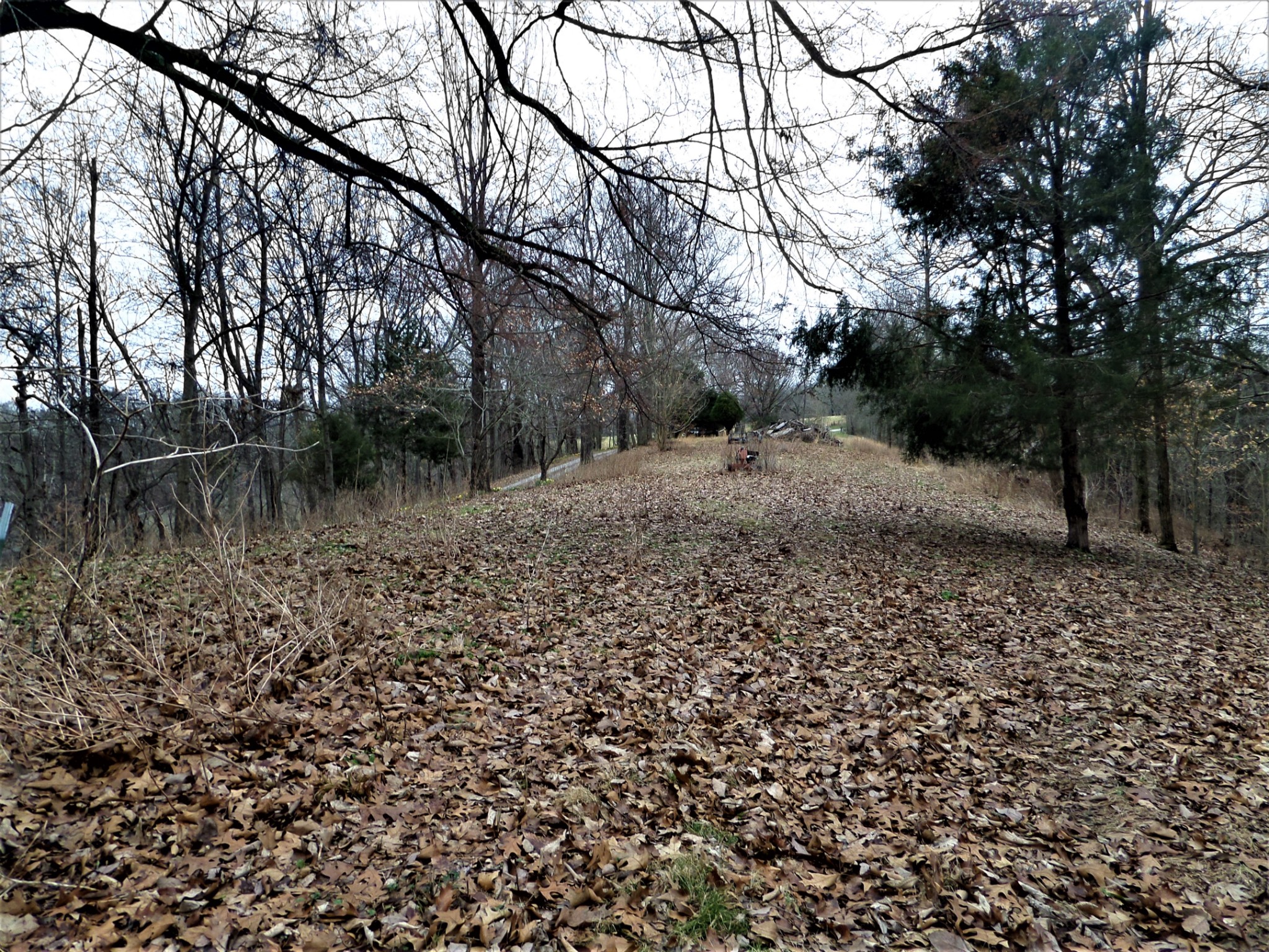 1400 Pisgah Ridge Road Pulaski, TN 38478 - Photo 19 of 23 a backyard of a house with lots of green space