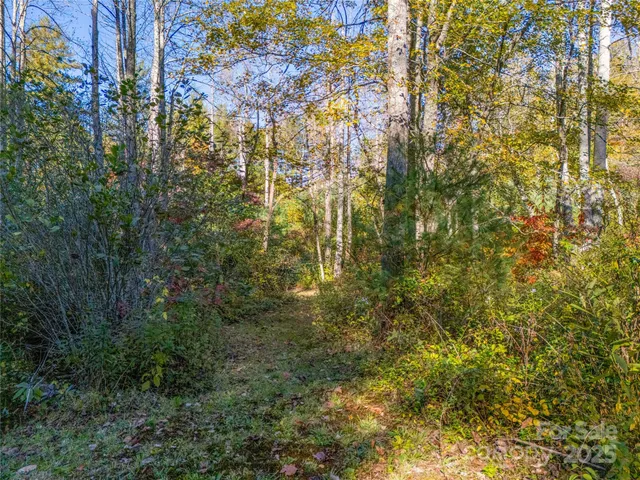 a view of a field with trees in background