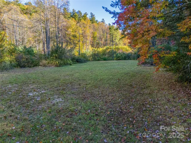a view of a yard with a trees