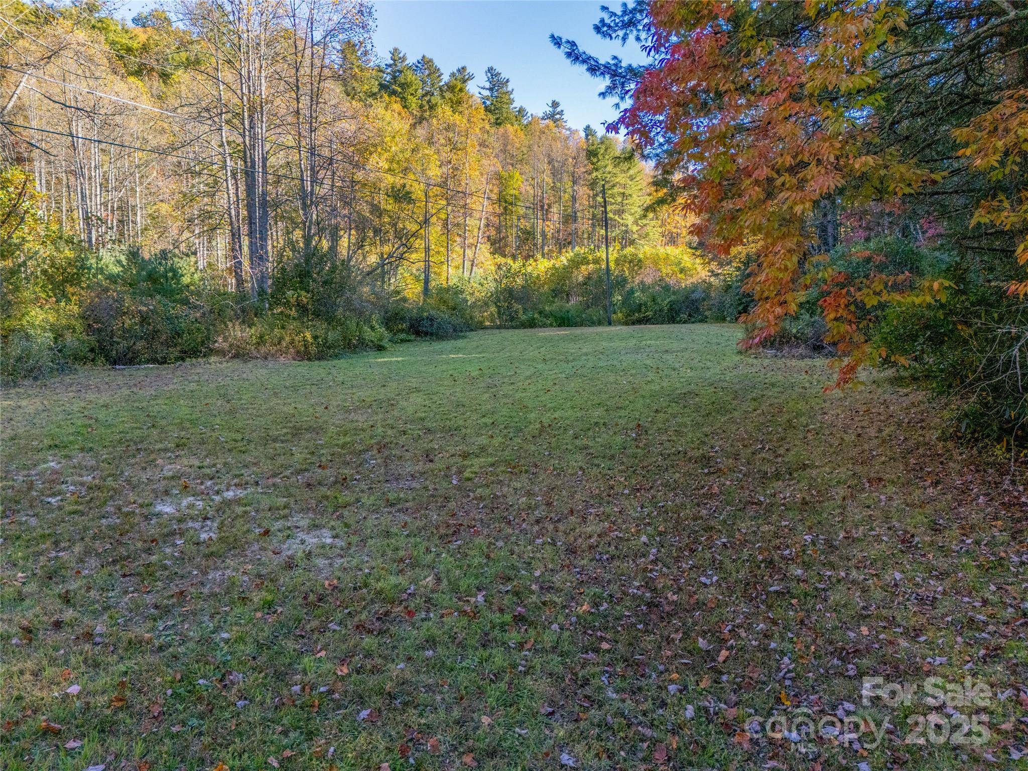 4111 Bobs Creek Road Zirconia, NC 28790 - Photo 13 of 48 a view of outdoor space and yard