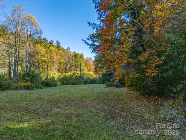 a view of a yard with a tree
