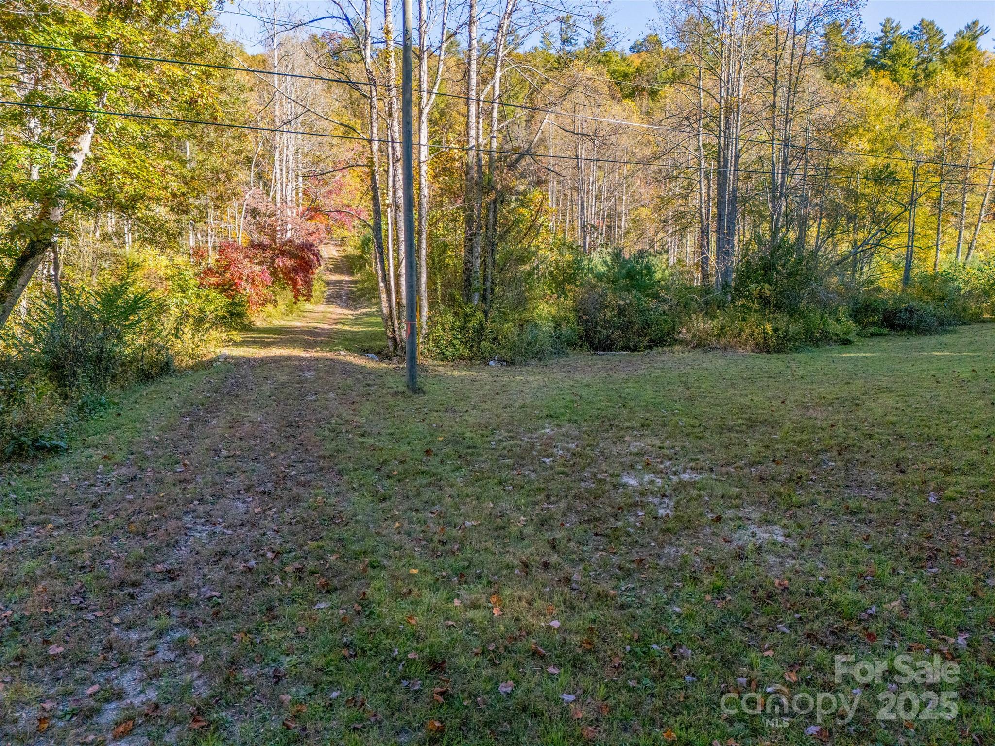 4111 Bobs Creek Road Zirconia, NC 28790 - Photo 15 of 48 a view of a yard with a trees