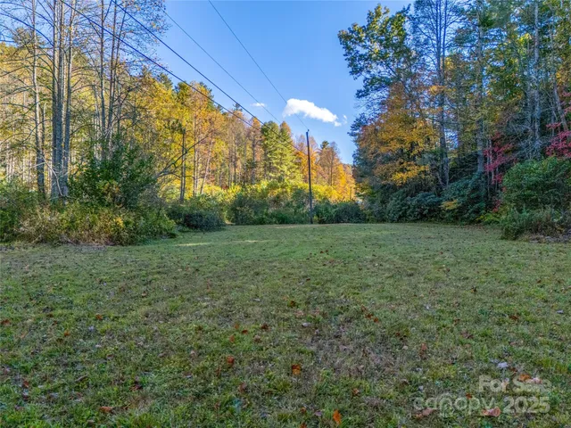 a view of a yard with a tree