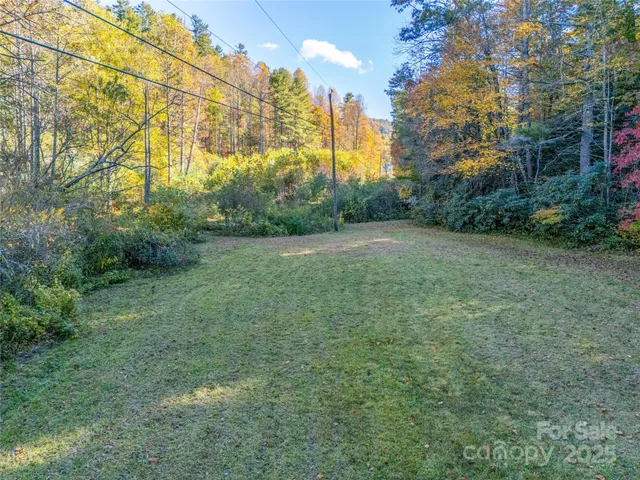 a view of a field with trees in the background