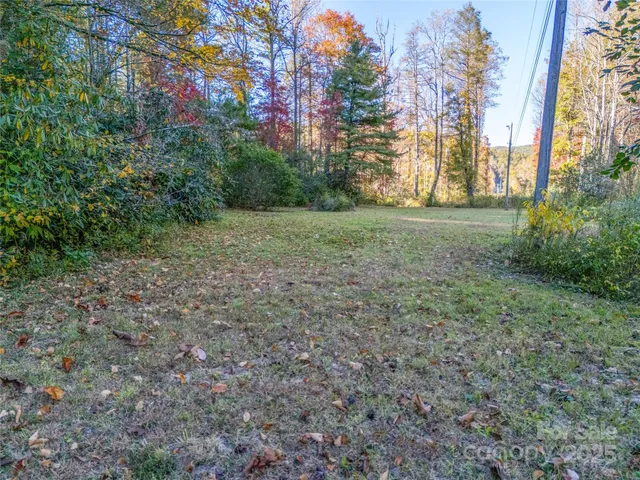 a view of a grassy field with trees in the background