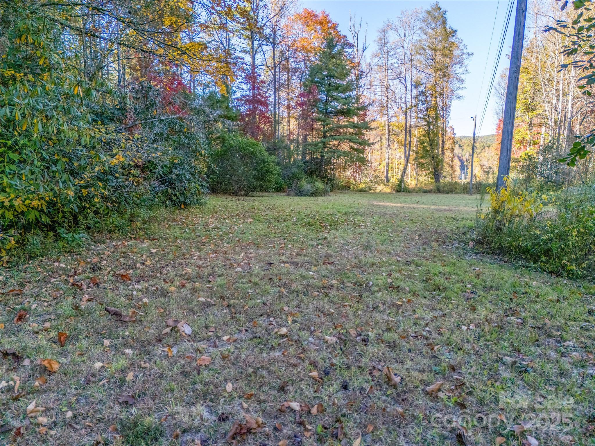 4111 Bobs Creek Road Zirconia, NC 28790 - Photo 18 of 48 a view of a yard with a tree