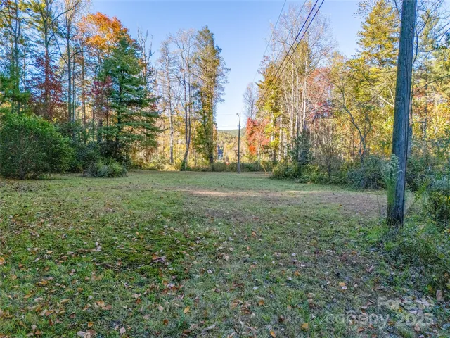 a big yard with lots of green space and deers