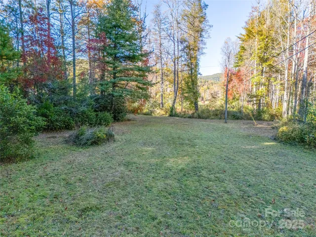 a view of a yard with trees