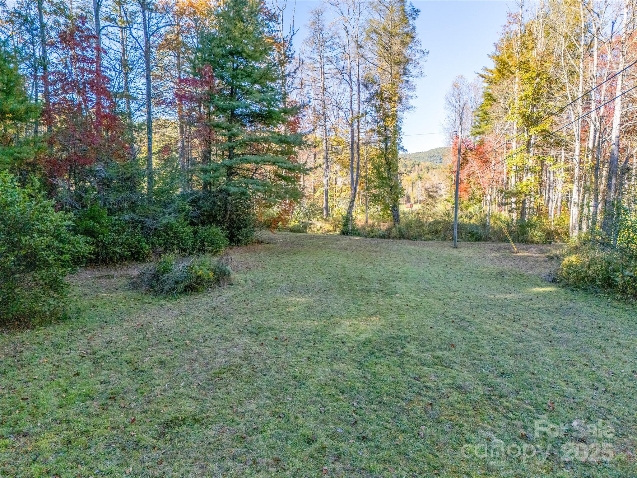 4111 Bobs Creek Road Zirconia, NC 28790 - Photo 20 of 48 a view of a grassy field with trees in the background