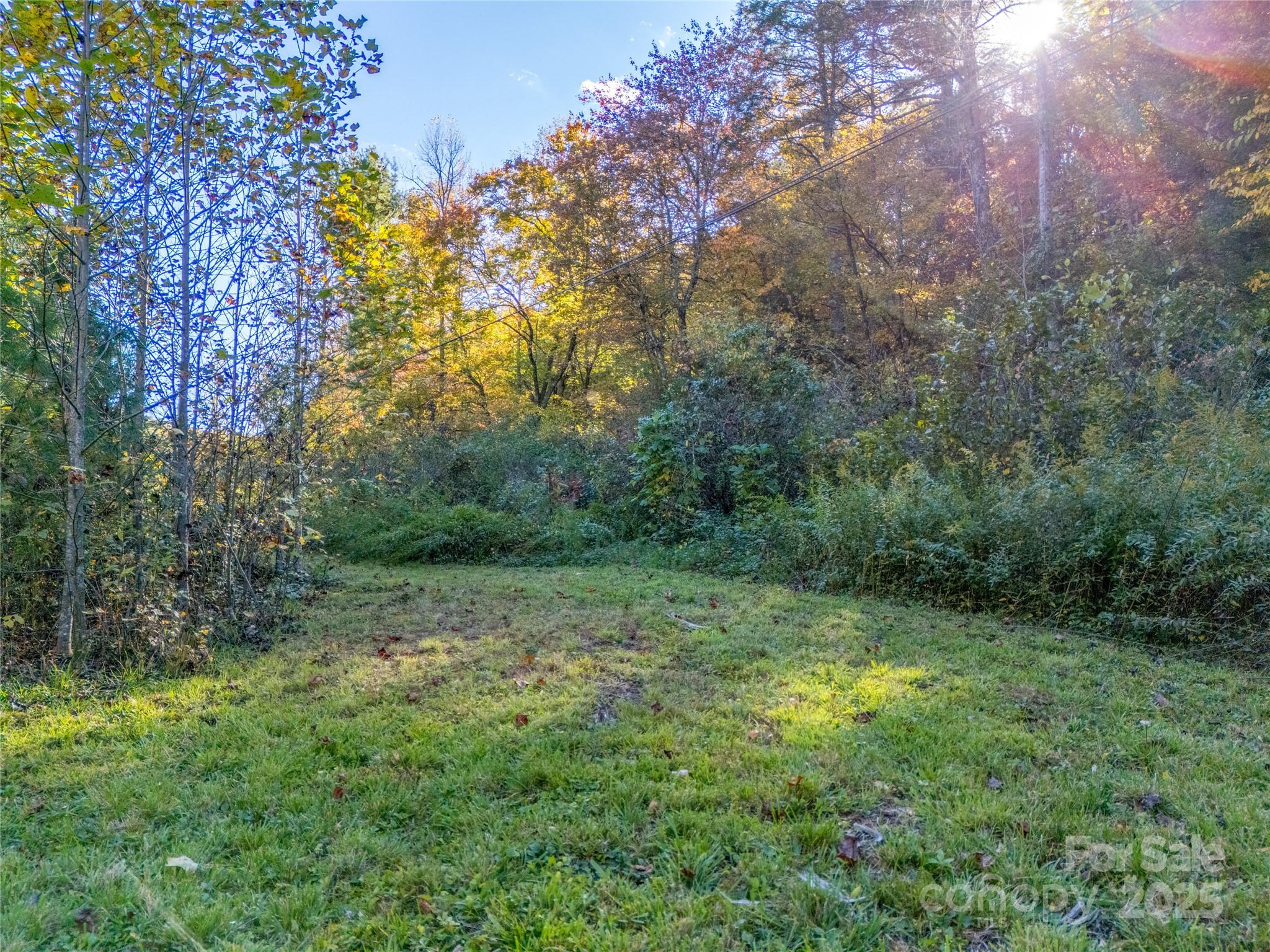 4111 Bobs Creek Road Zirconia, NC 28790 - Photo 21 of 48 a big yard with lots of green space and deers
