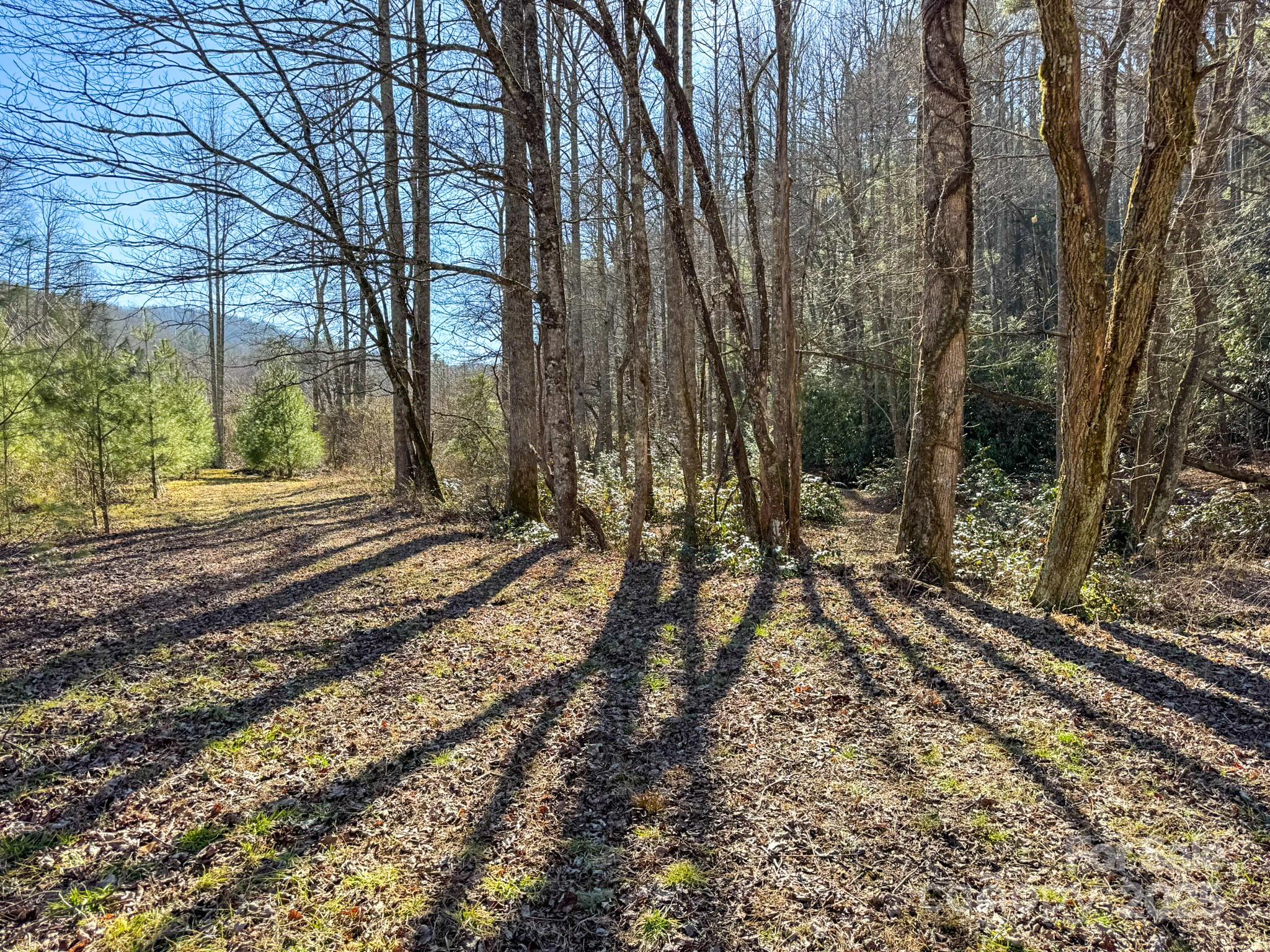 4111 Bobs Creek Road Zirconia, NC 28790 - Photo 22 of 48 a view of a yard with trees