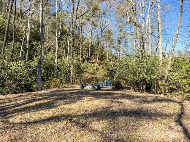 a view of outdoor space with deck and tree