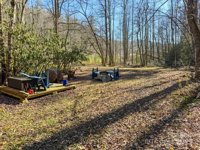 a view of backyard with green space