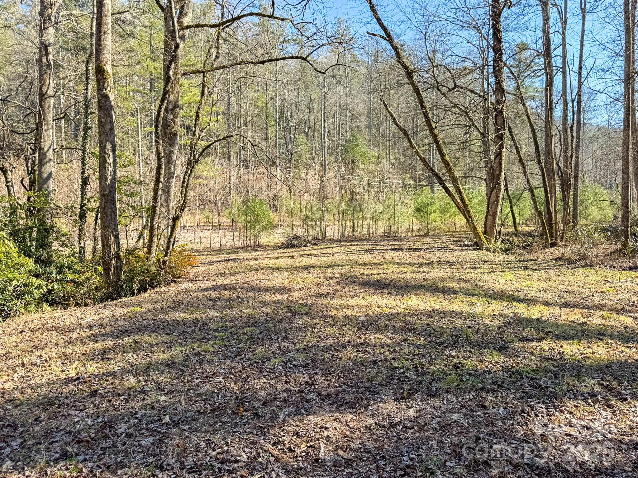 4111 Bobs Creek Road Zirconia, NC 28790 - Photo 25 of 48 a view of outdoor space with deck and tree