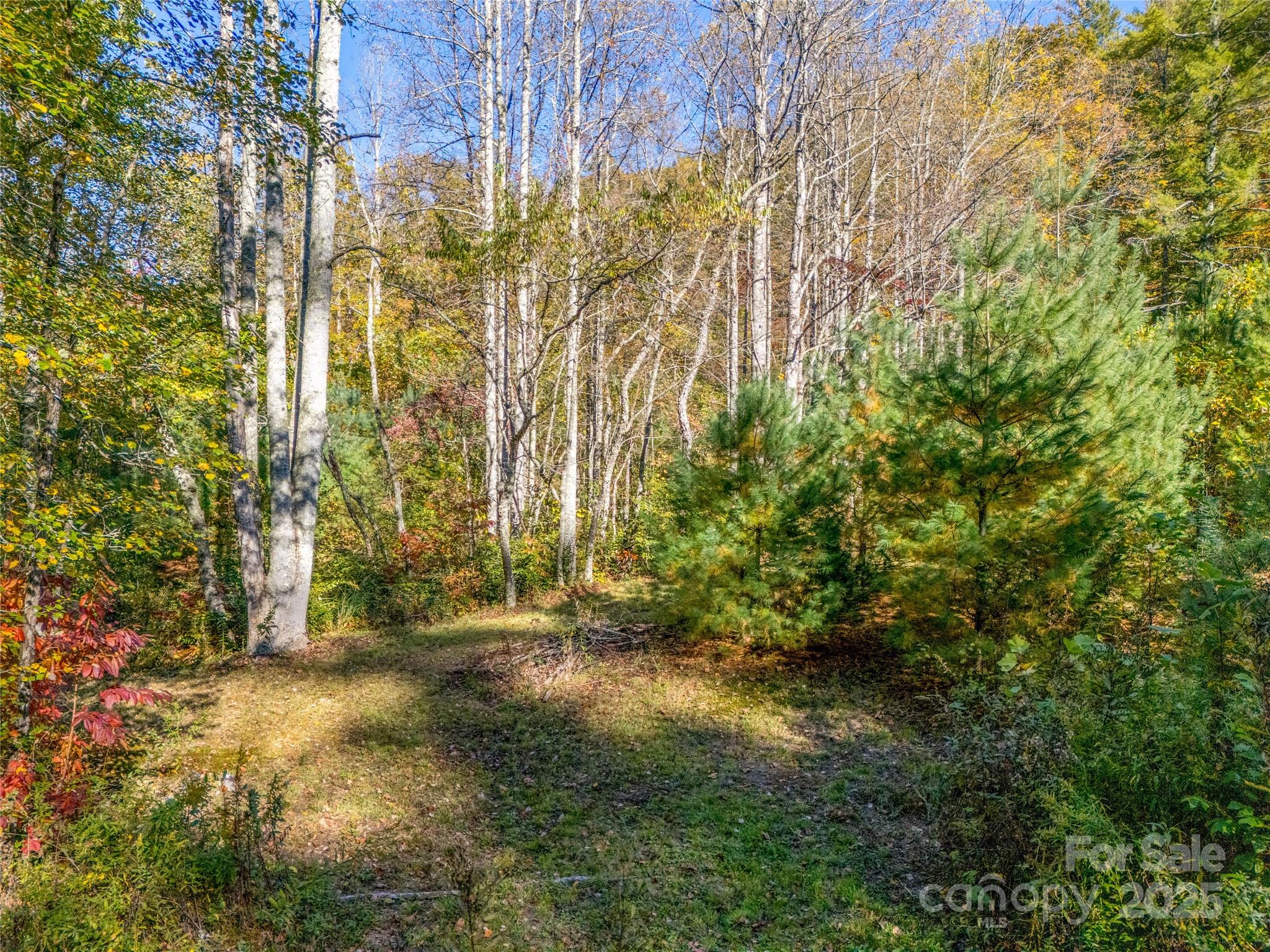 4111 Bobs Creek Road Zirconia, NC 28790 - Photo 26 of 48 a view of backyard with green space