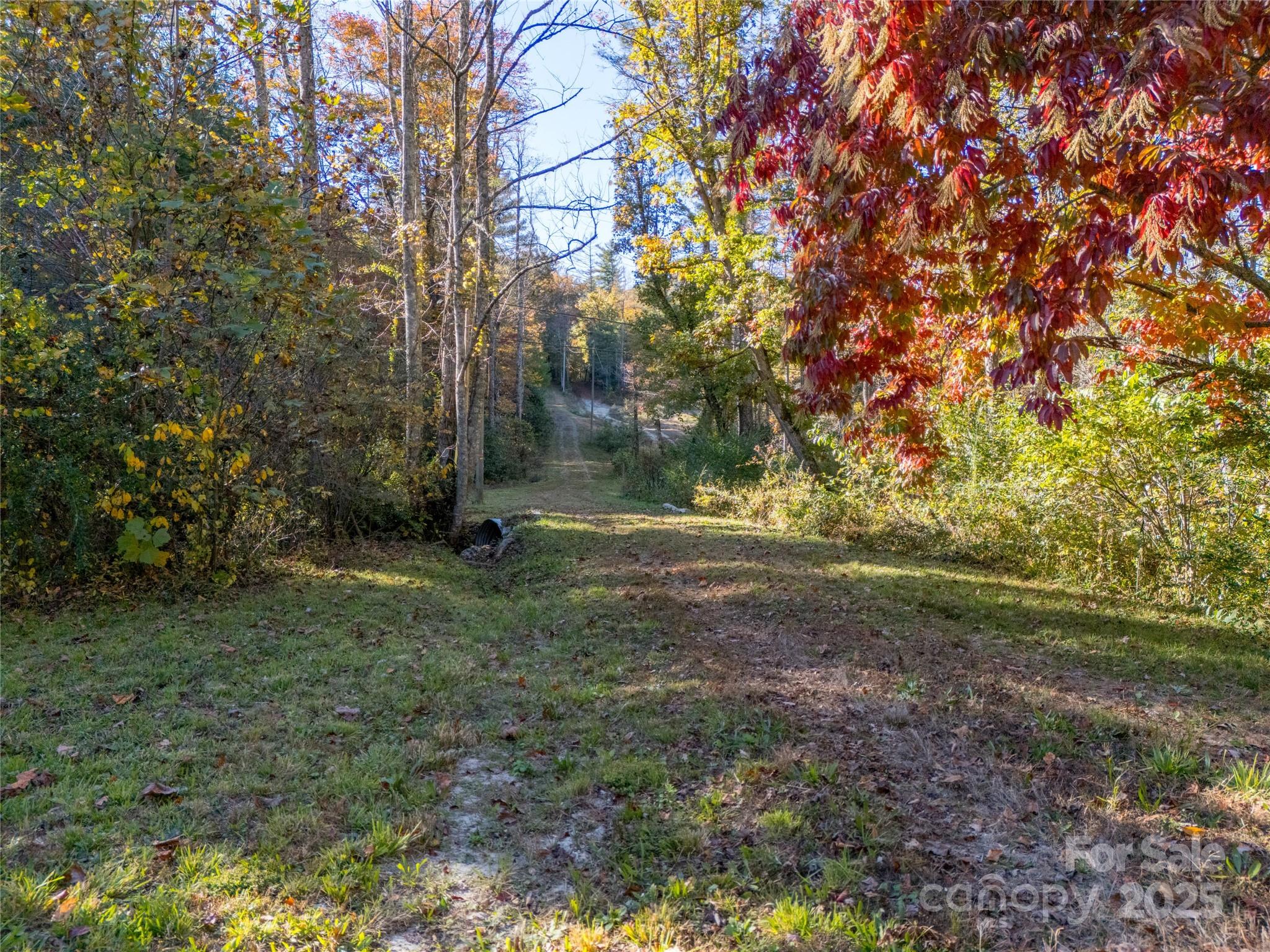 4111 Bobs Creek Road Zirconia, NC 28790 - Photo 27 of 48 a view of outdoor space with trees all around