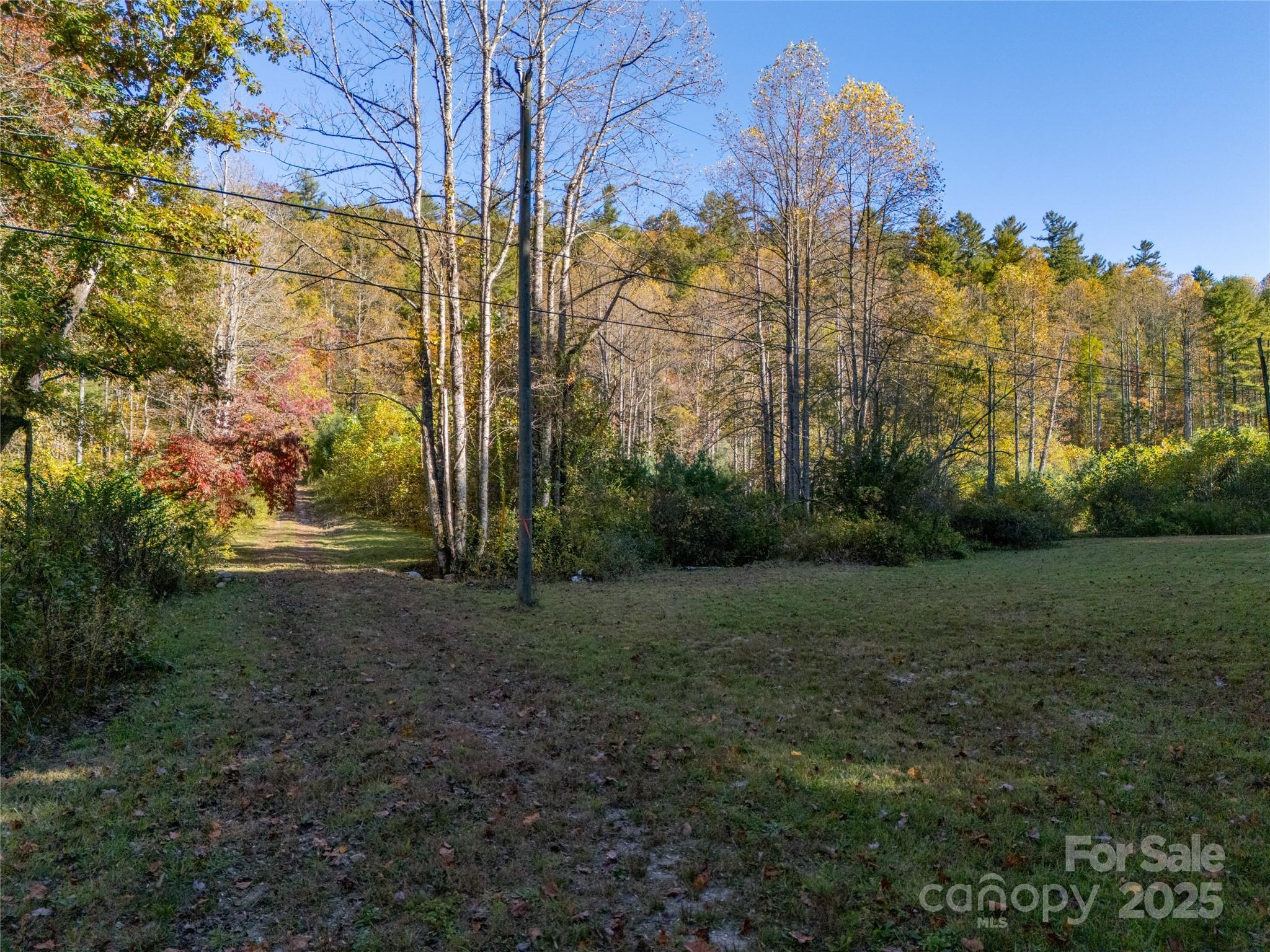 4111 Bobs Creek Road Zirconia, NC 28790 - Photo 29 of 48