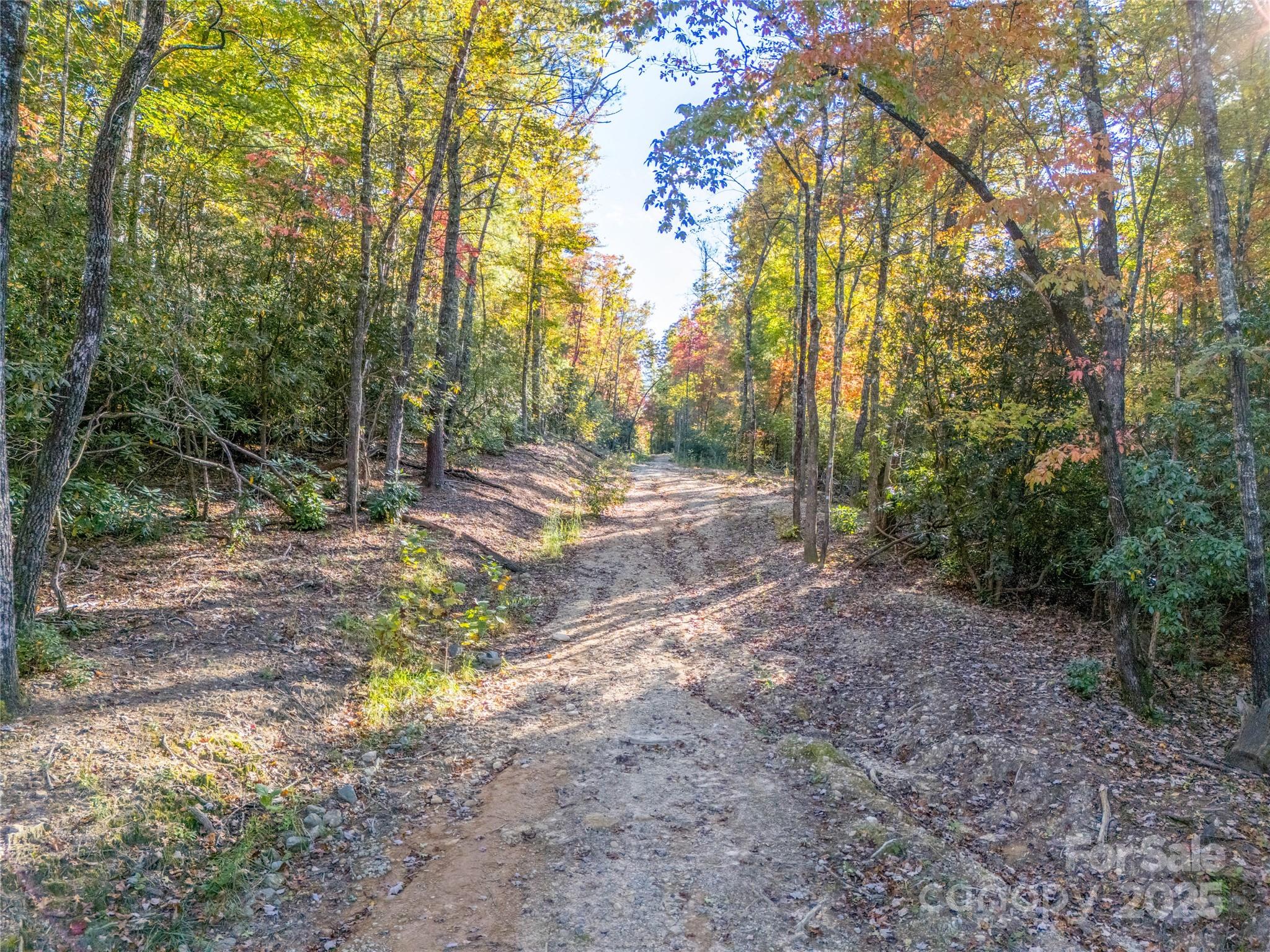 4111 Bobs Creek Road Zirconia, NC 28790 - Photo 31 of 48 a view of a yard with trees on both side of the road