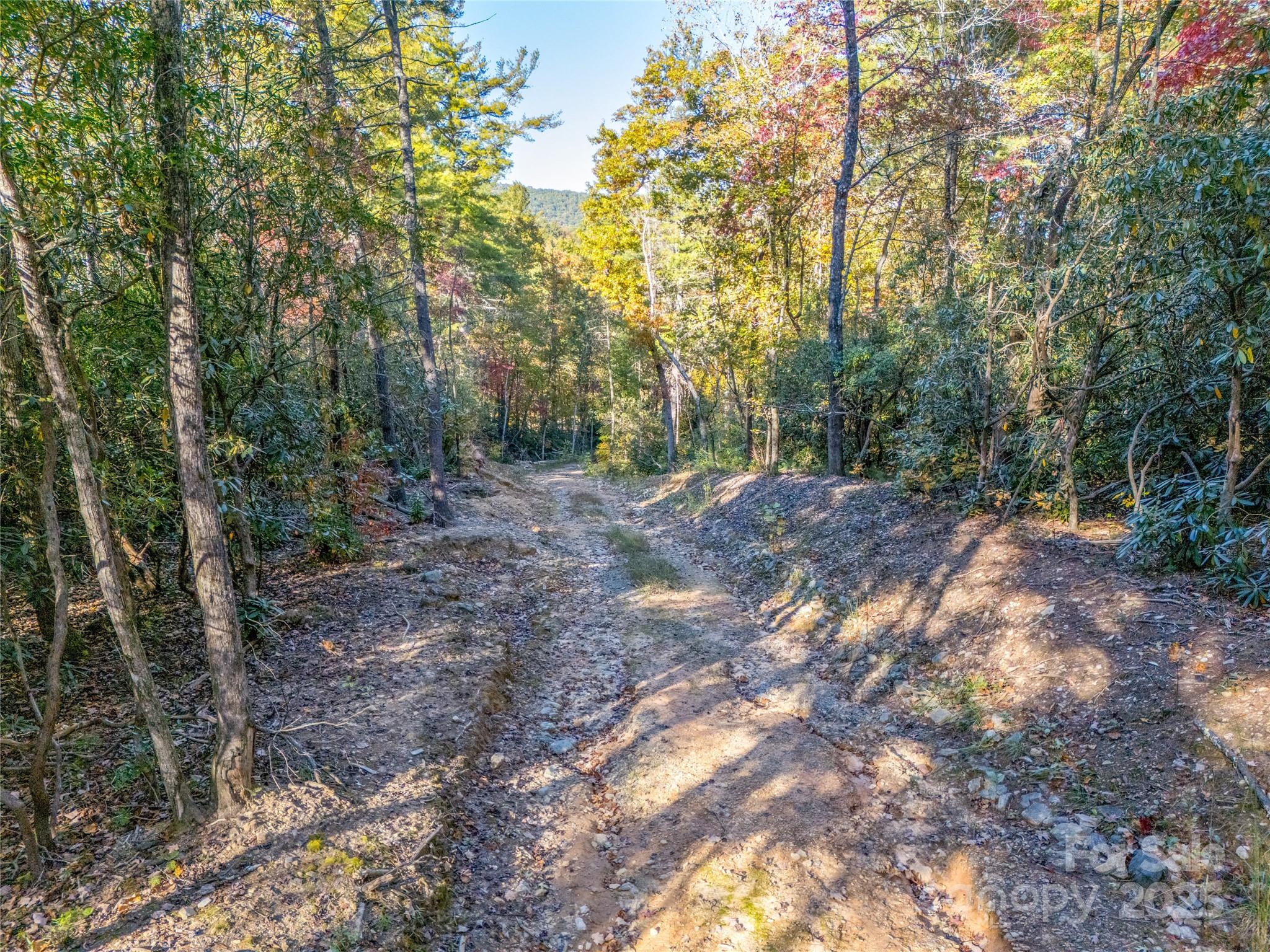 4111 Bobs Creek Road Zirconia, NC 28790 - Photo 32 of 48 a view of outdoor space and trees