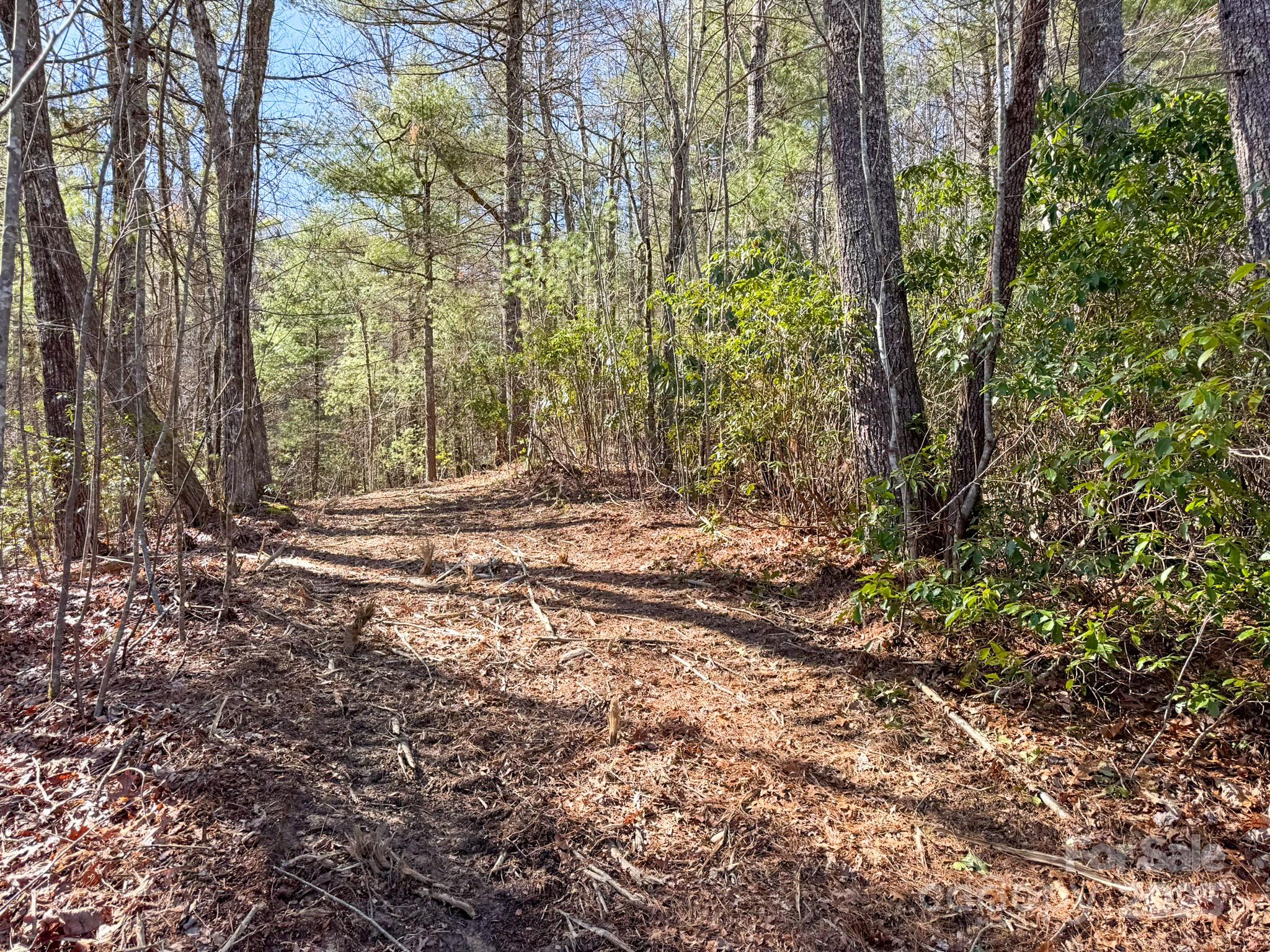 4111 Bobs Creek Road Zirconia, NC 28790 - Photo 33 of 48 a view of outdoor space with trees