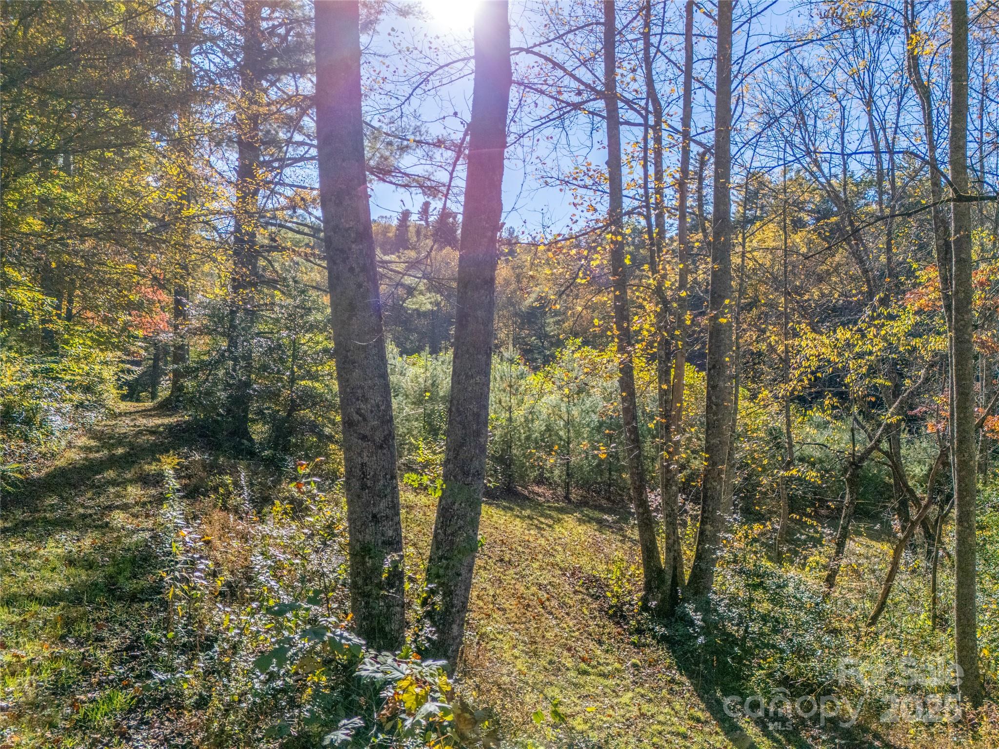 4111 Bobs Creek Road Zirconia, NC 28790 - Photo 35 of 48 a backyard of a house with lots of green space