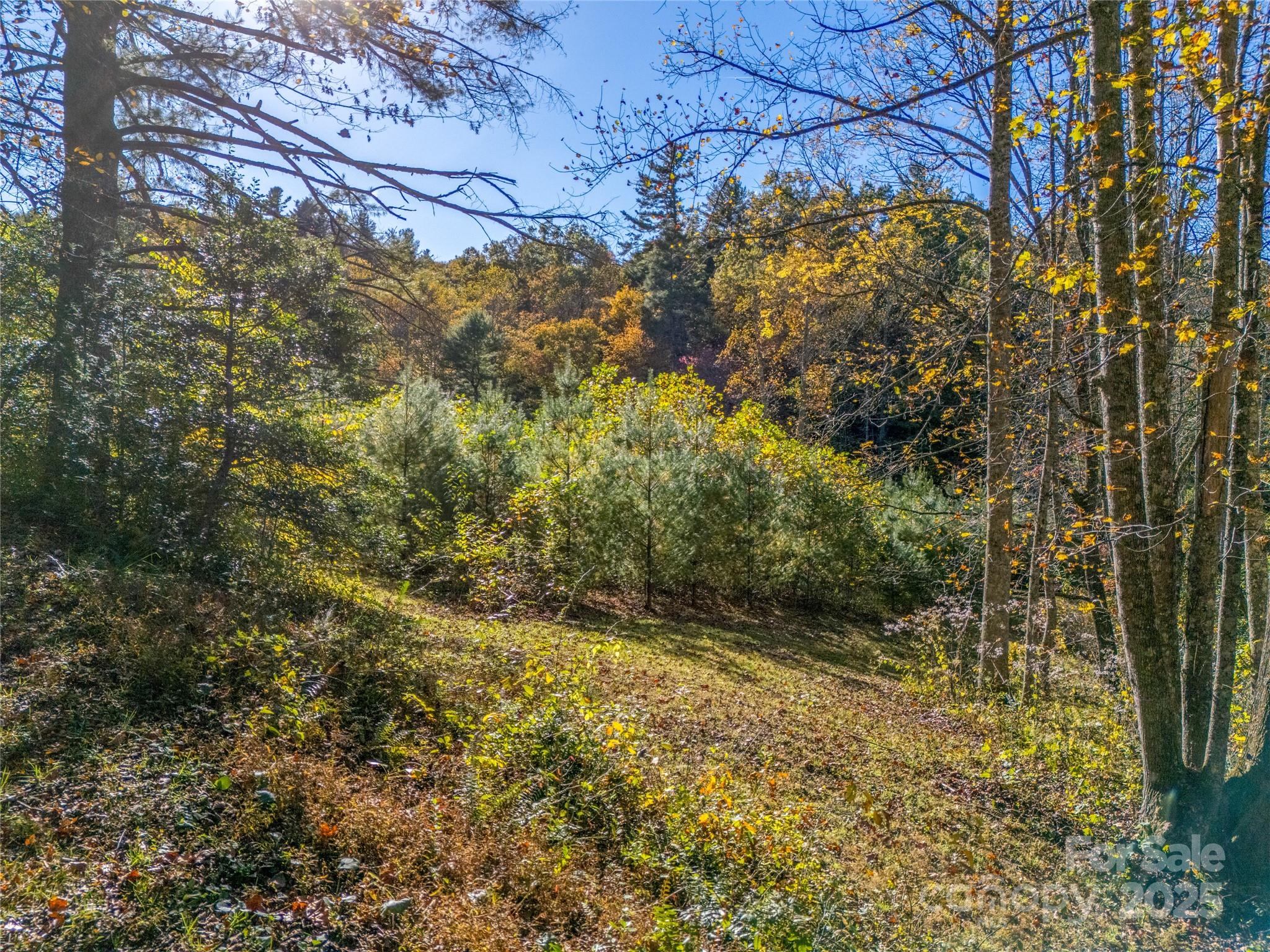 4111 Bobs Creek Road Zirconia, NC 28790 - Photo 36 of 48 a view of a yard