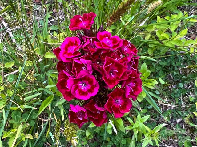 a view of outdoor space and a yard