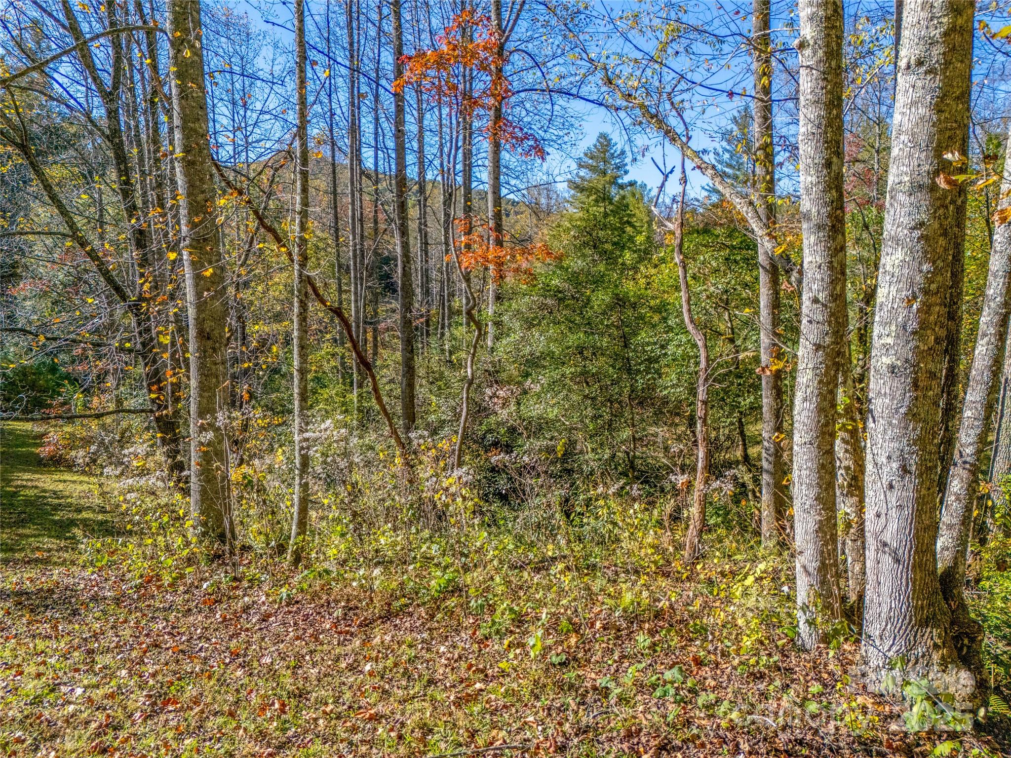 4111 Bobs Creek Road Zirconia, NC 28790 - Photo 39 of 48 a bathroom with a shower