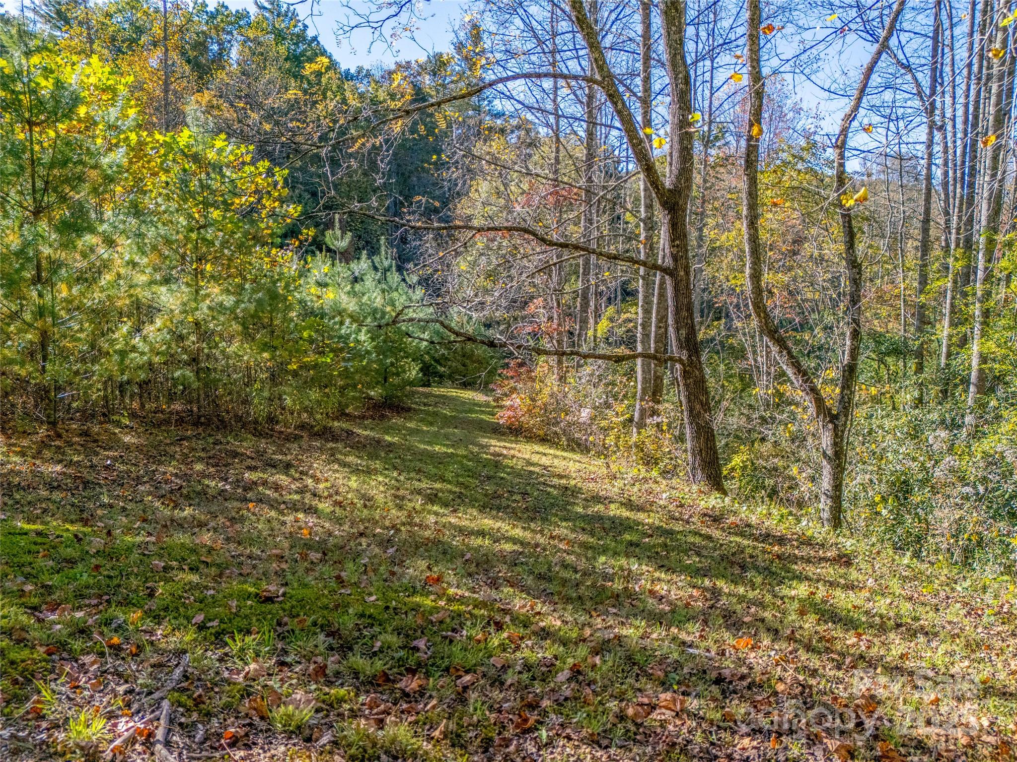 4111 Bobs Creek Road Zirconia, NC 28790 - Photo 40 of 48 a view of outdoor space and a yard