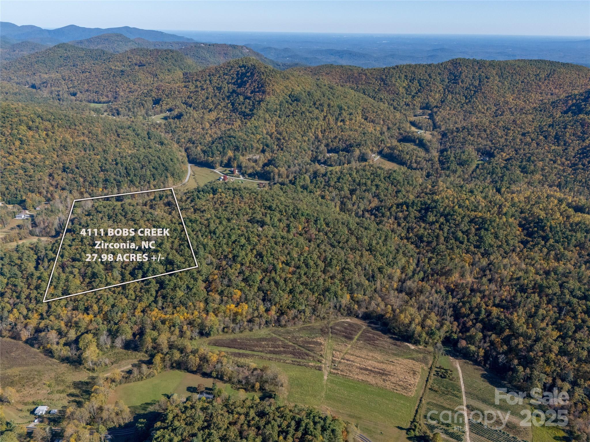 4111 Bobs Creek Road Zirconia, NC 28790 - Photo 4 of 48 a view of outdoor space and mountain view