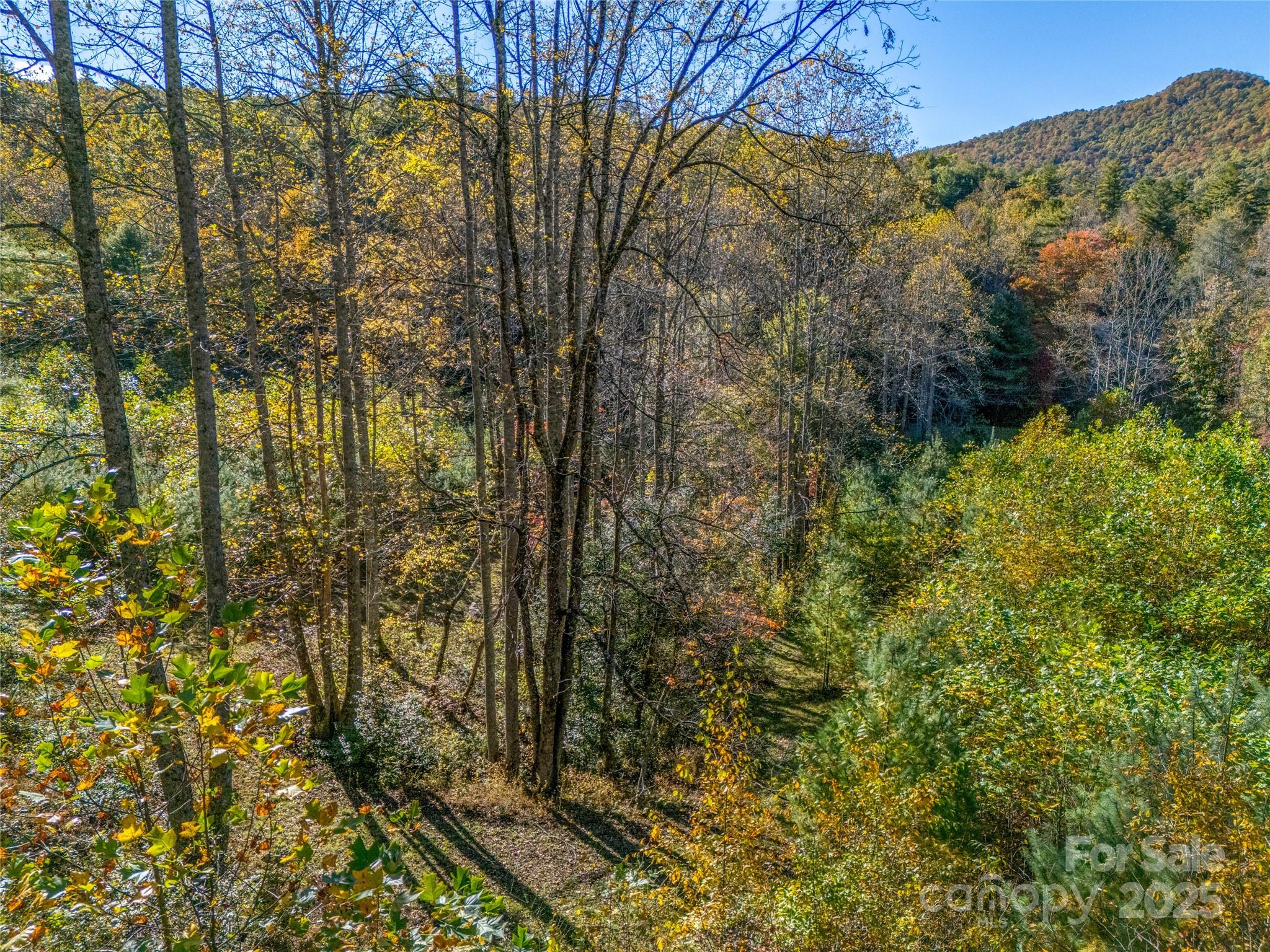 4111 Bobs Creek Road Zirconia, NC 28790 - Photo 41 of 48 a view of a yard with a tree
