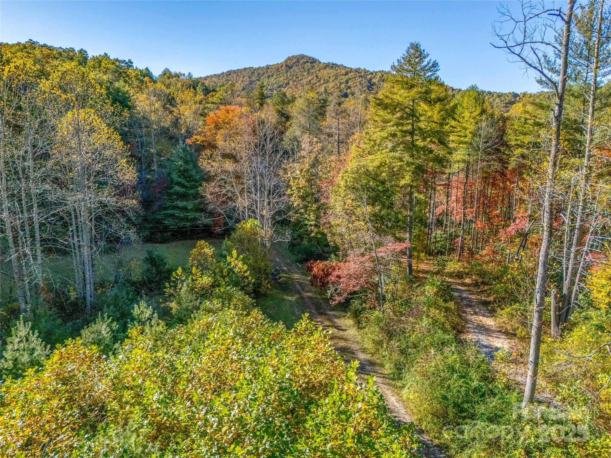 4111 Bobs Creek Road Zirconia, NC 28790 - Photo 42 of 48 a view of a yard