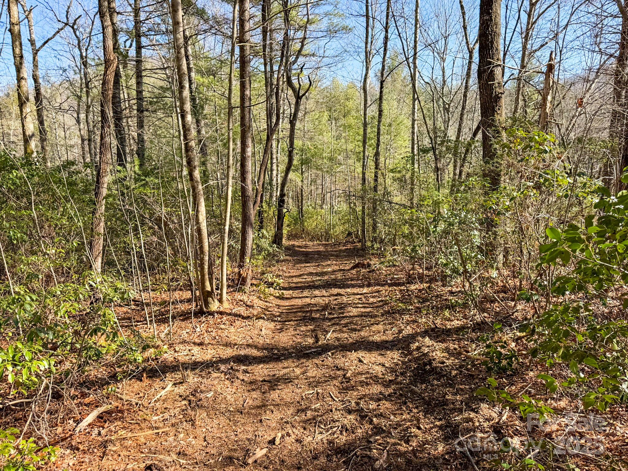 4111 Bobs Creek Road Zirconia, NC 28790 - Photo 43 of 48 a view of backyard of building