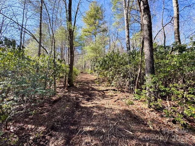 a view of a yard with trees