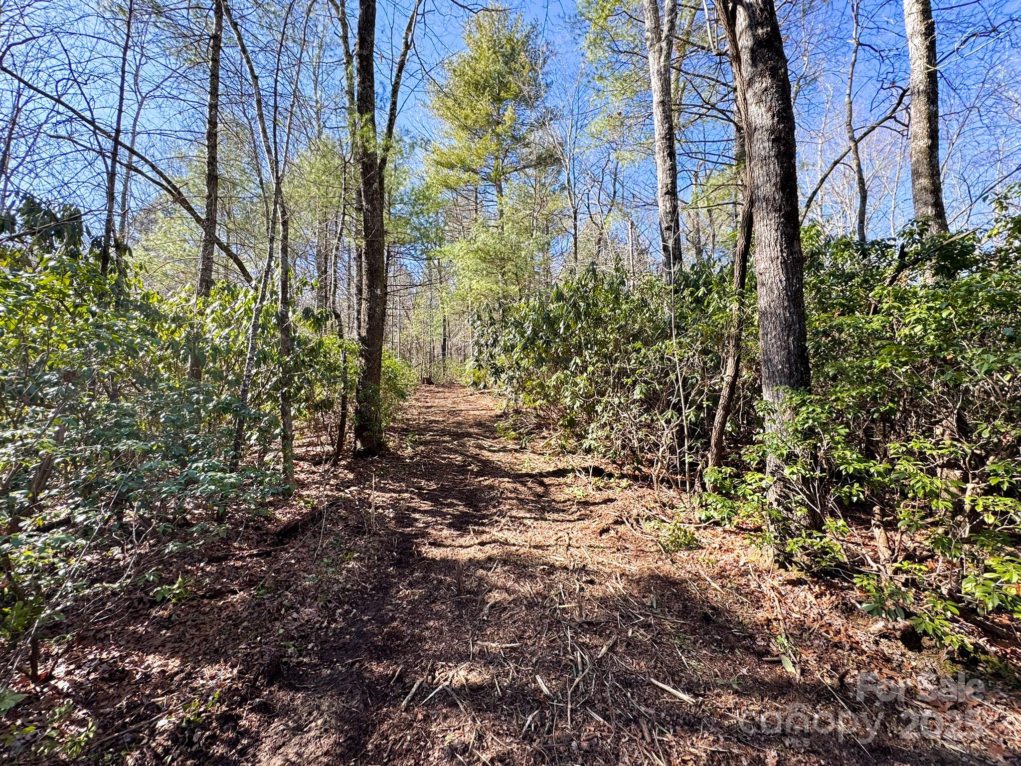 4111 Bobs Creek Road Zirconia, NC 28790 - Photo 44 of 48 a view of yard