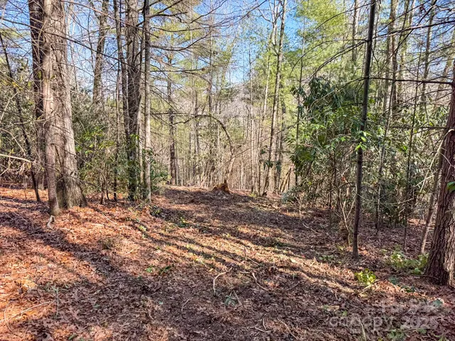 a picture of city and mountain view
