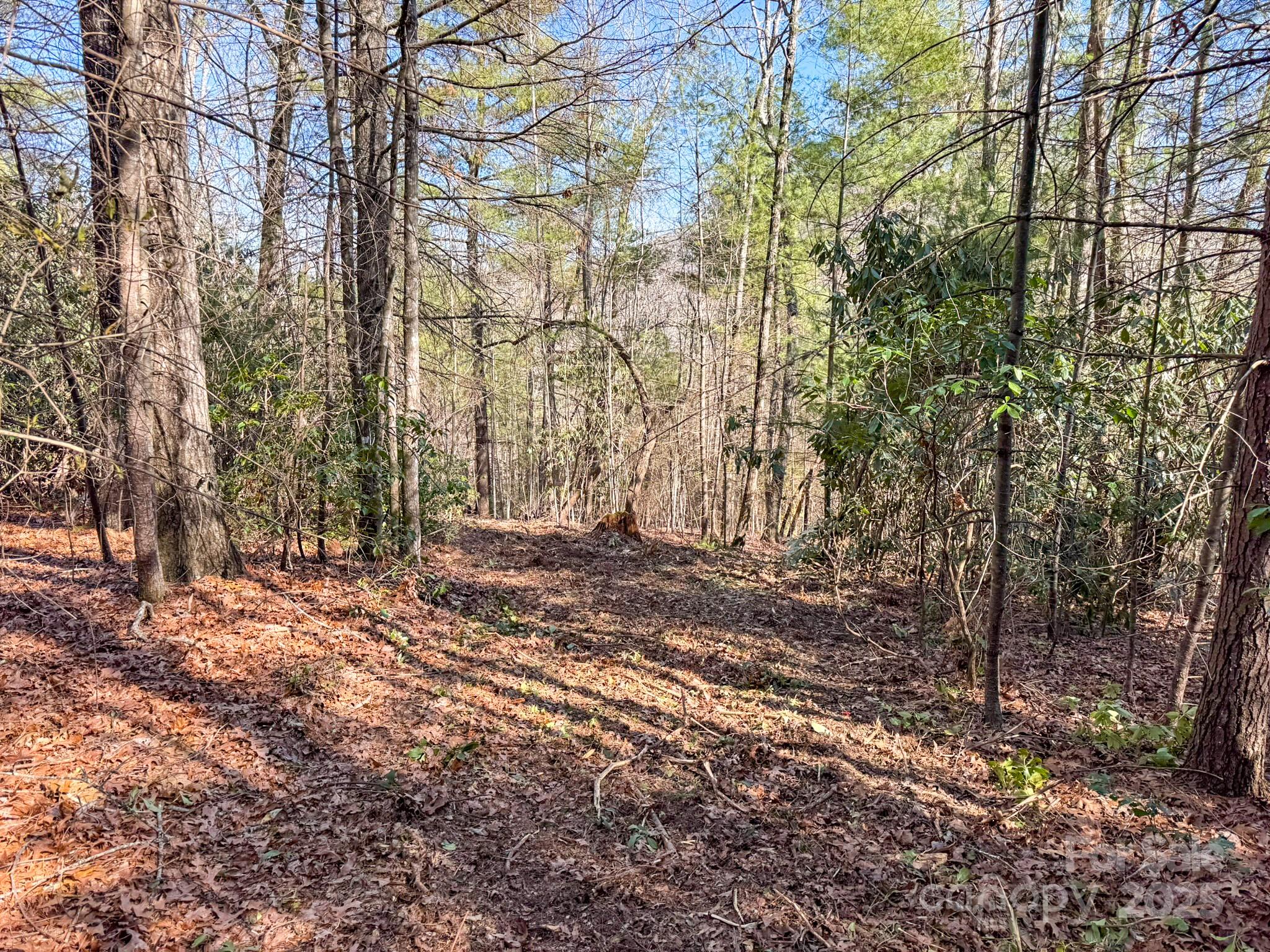 4111 Bobs Creek Road Zirconia, NC 28790 - Photo 45 of 48 a backyard of a house with lots of green space