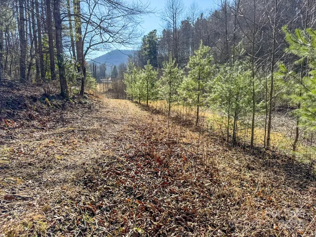 $750,000 | 4111 Bobs Creek Road, Zirconia, NC 28790