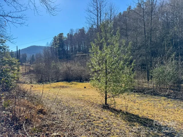 $750,000 | 4111 Bobs Creek Road, Zirconia, NC 28790