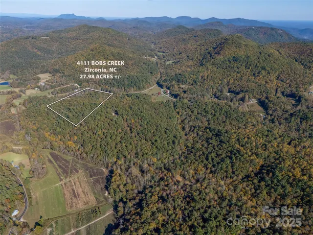 a view of a field with a tree in the background