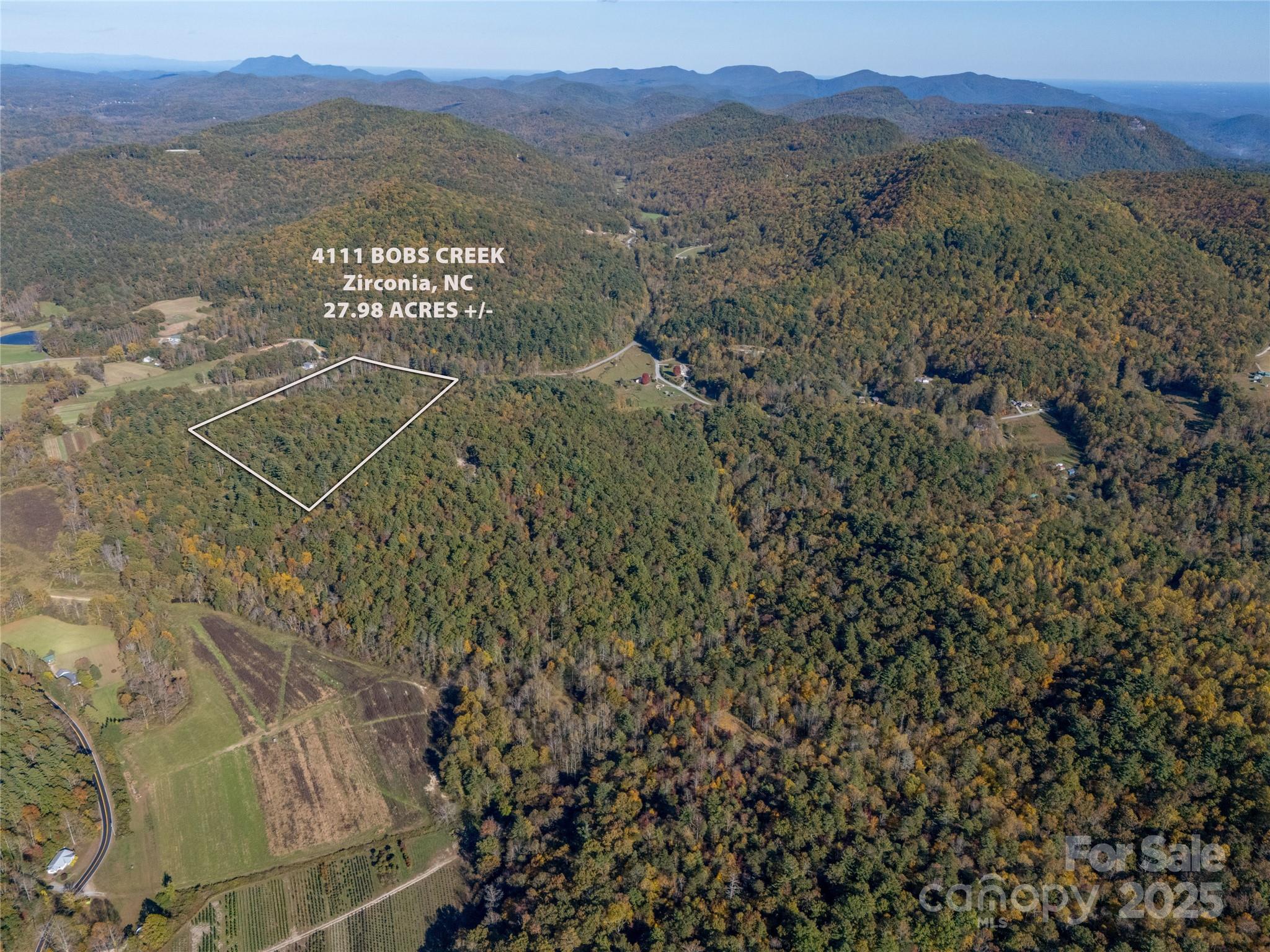4111 Bobs Creek Road Zirconia, NC 28790 - Photo 5 of 48 a view of a field with a tree in the background