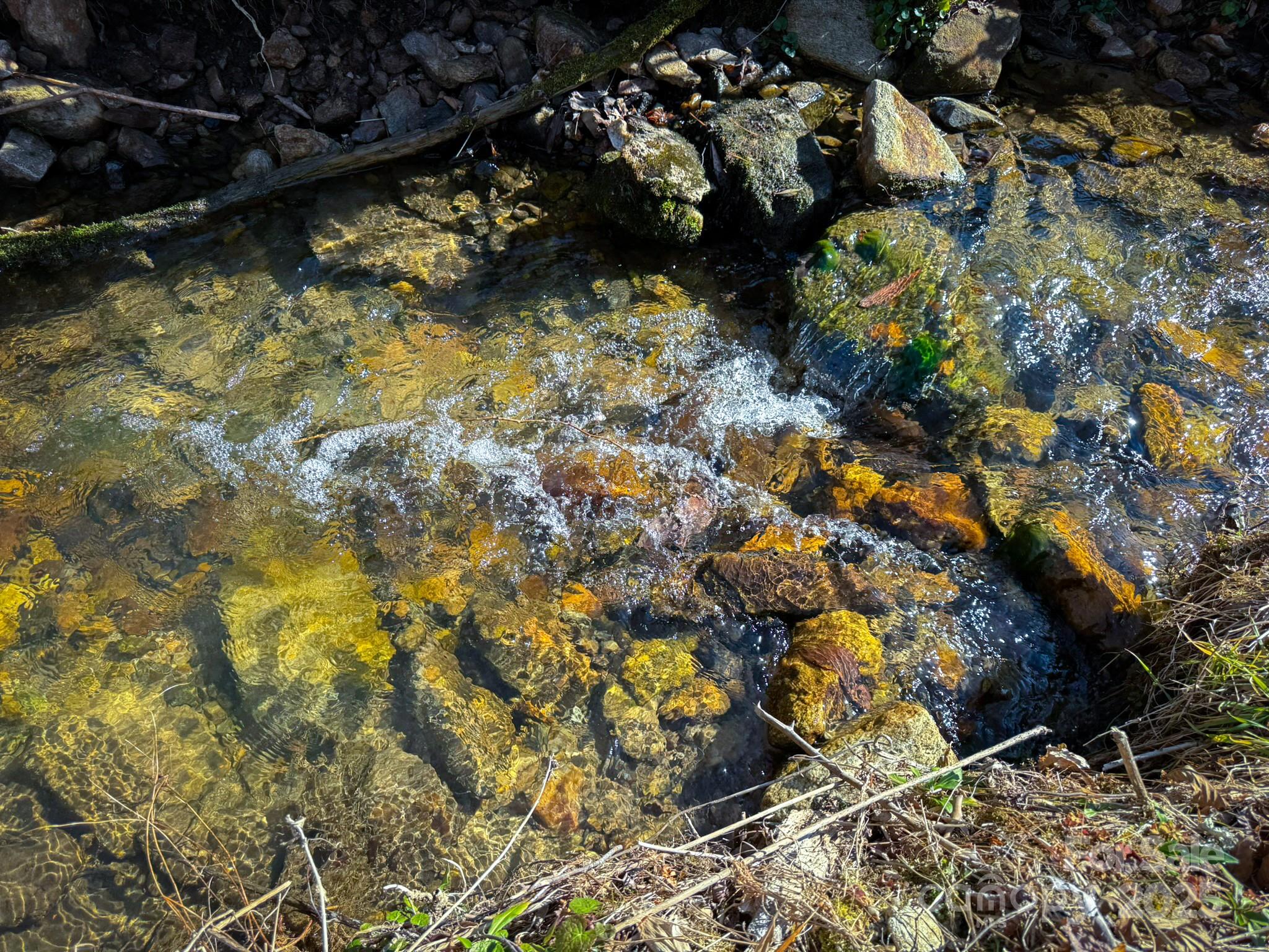 4111 Bobs Creek Road Zirconia, NC 28790 - Photo 6 of 48