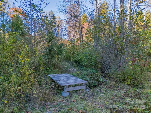 a view of a wooden bench in the forest