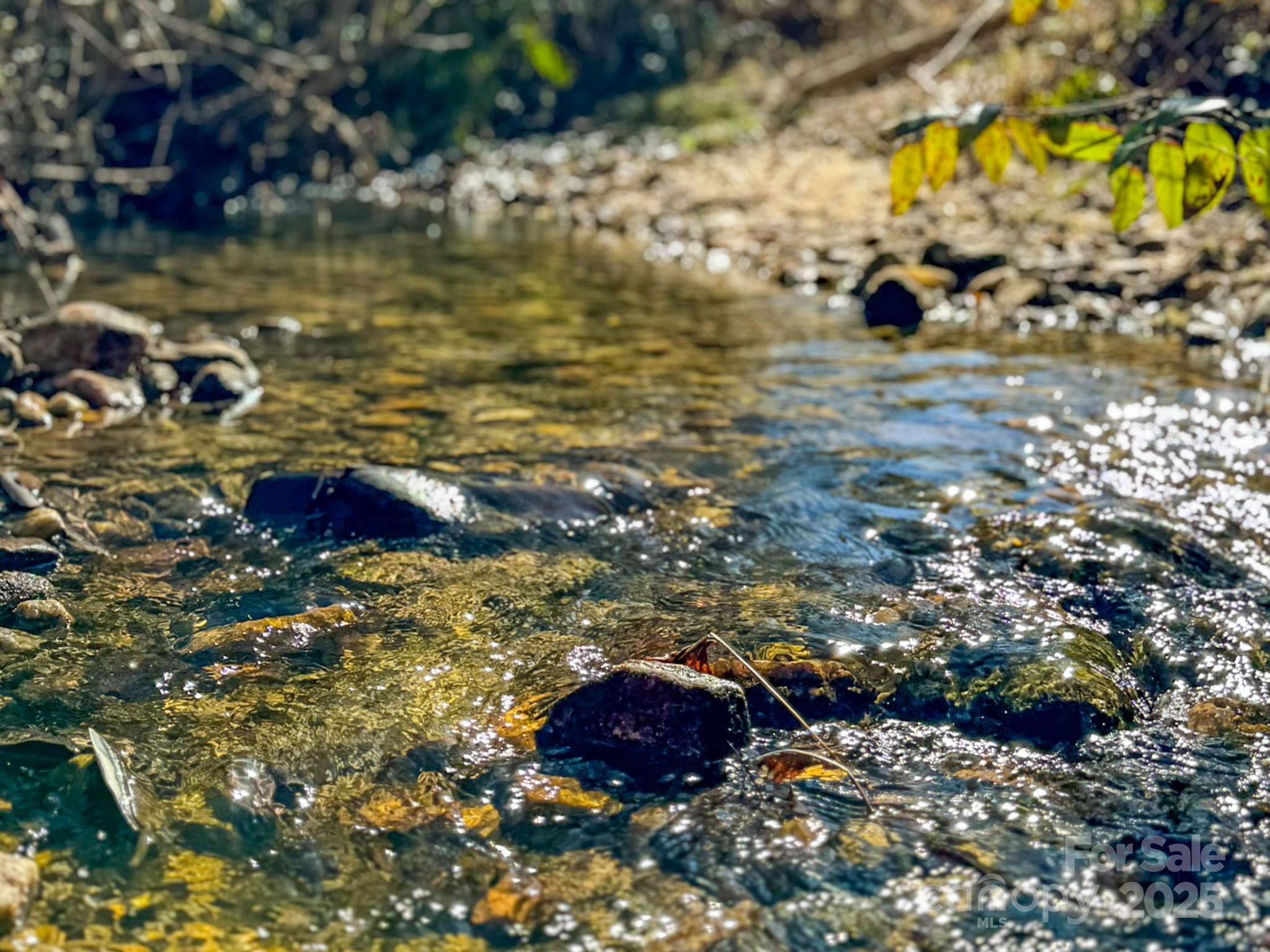 4111 Bobs Creek Road Zirconia, NC 28790 - Photo 10 of 48 a view of a lake with outside area