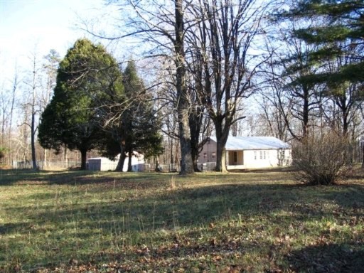 Primary Photo