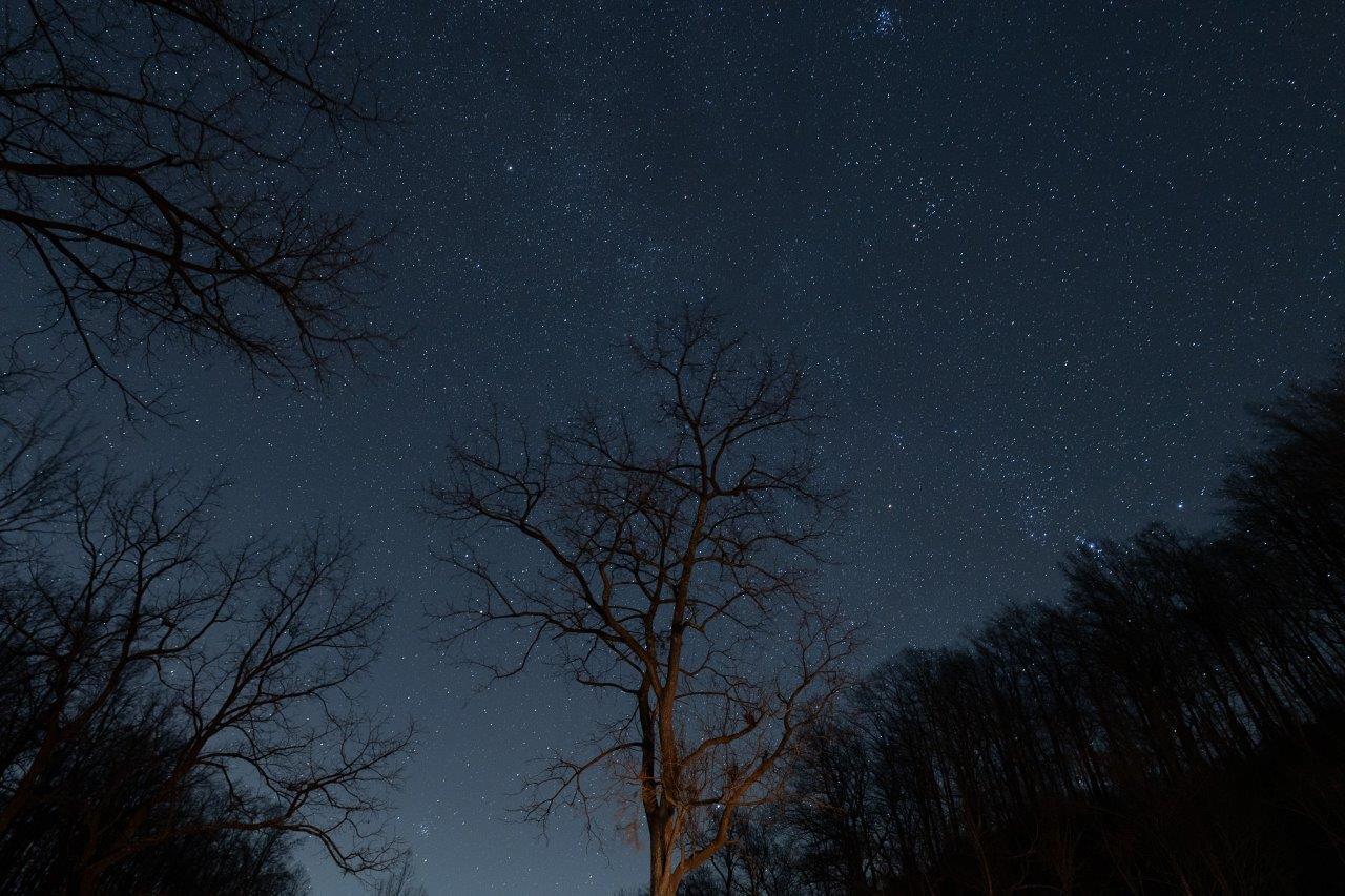 0 Foothills Road Callaway, VA 24067 - Photo 12 of 47 a backyard of the house
