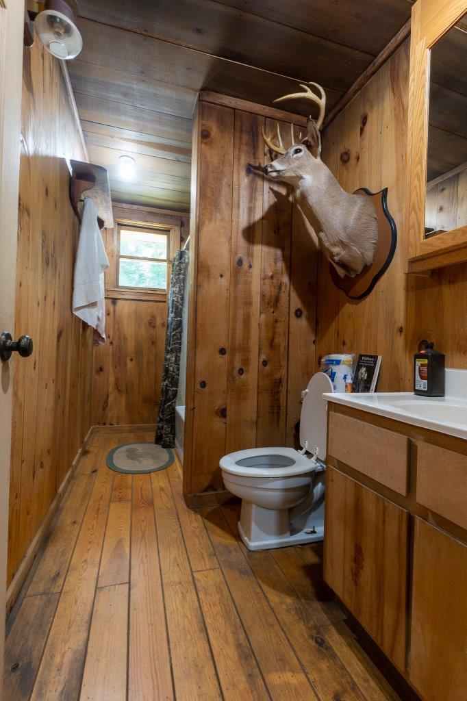 0 Foothills Road Callaway, VA 24067 - Photo 19 of 47 a bathroom with a toilet a sink and shower